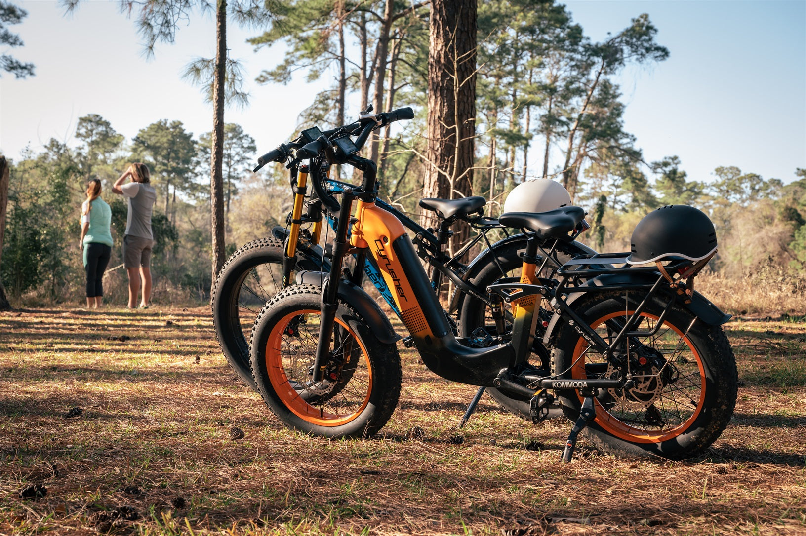 Does My Electric Bike Need Gears?