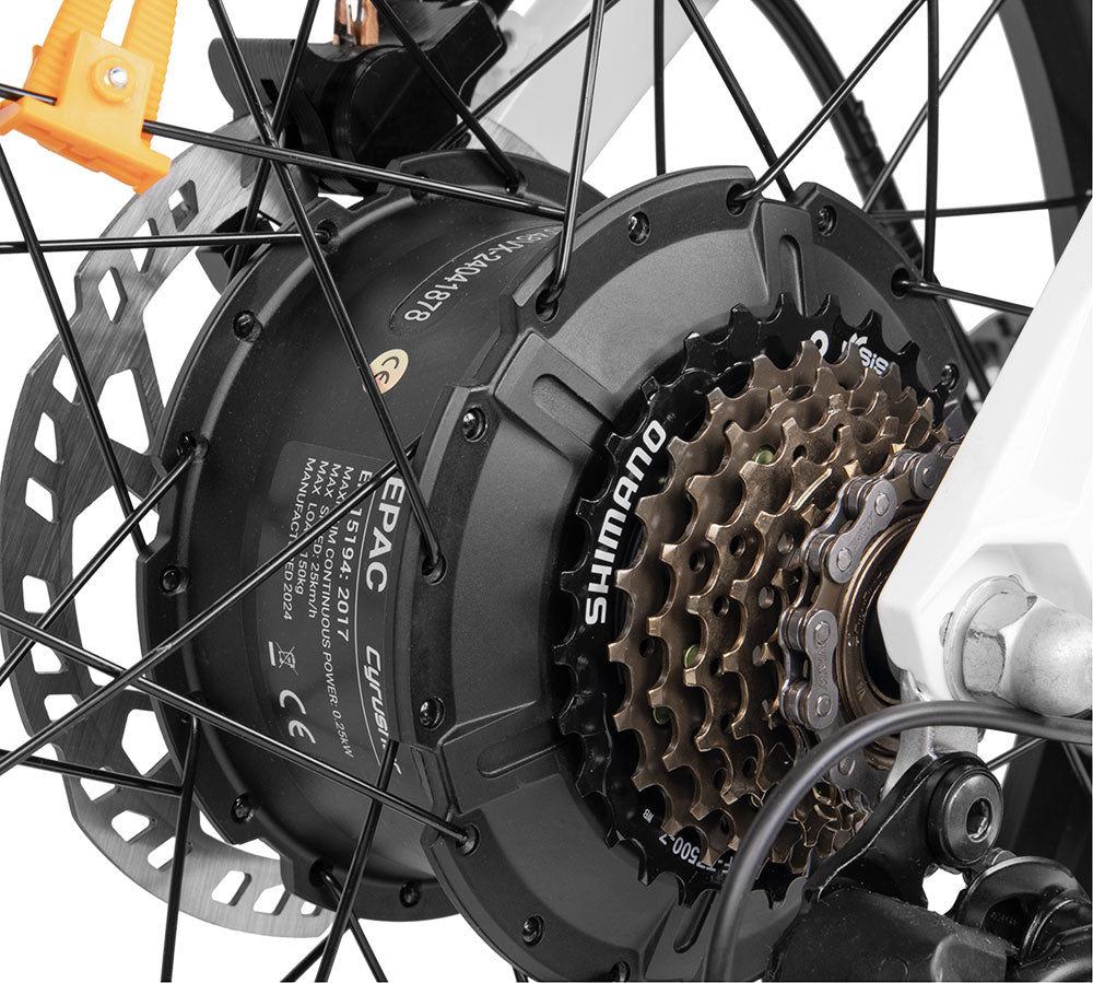 500W Brushless Motor