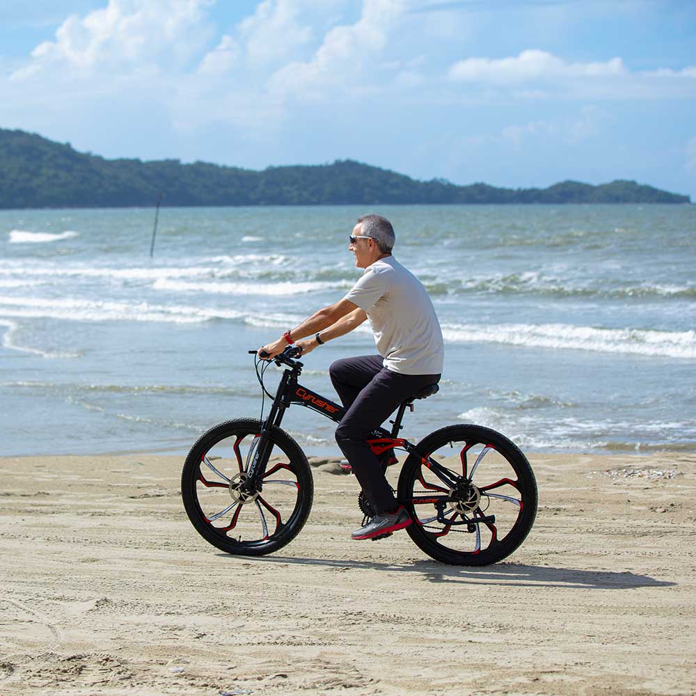 Cyrusher FR100 Mountain Racing Folding Bike