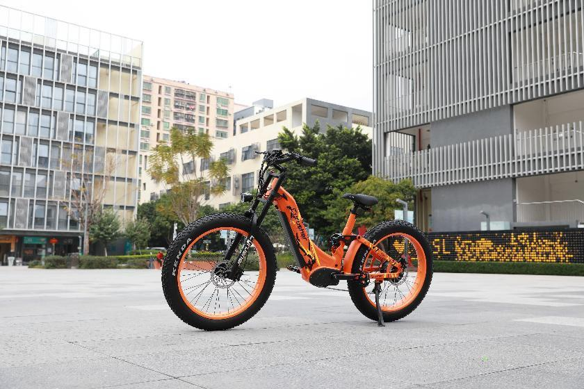 Meet the Best Hybrid All-terrain Electric Bike: the Trax