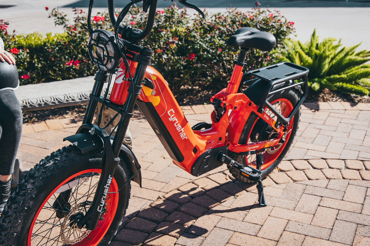Electric Bike Tire Size For Men photo