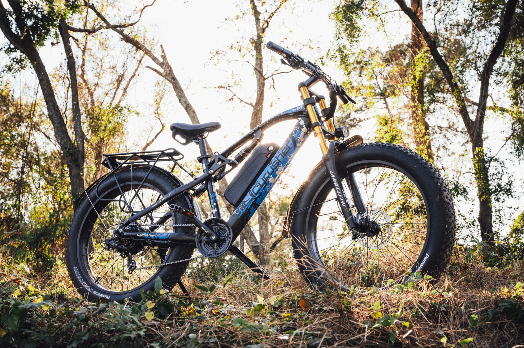 An electric bicycle is parked on a mountain road.-1010