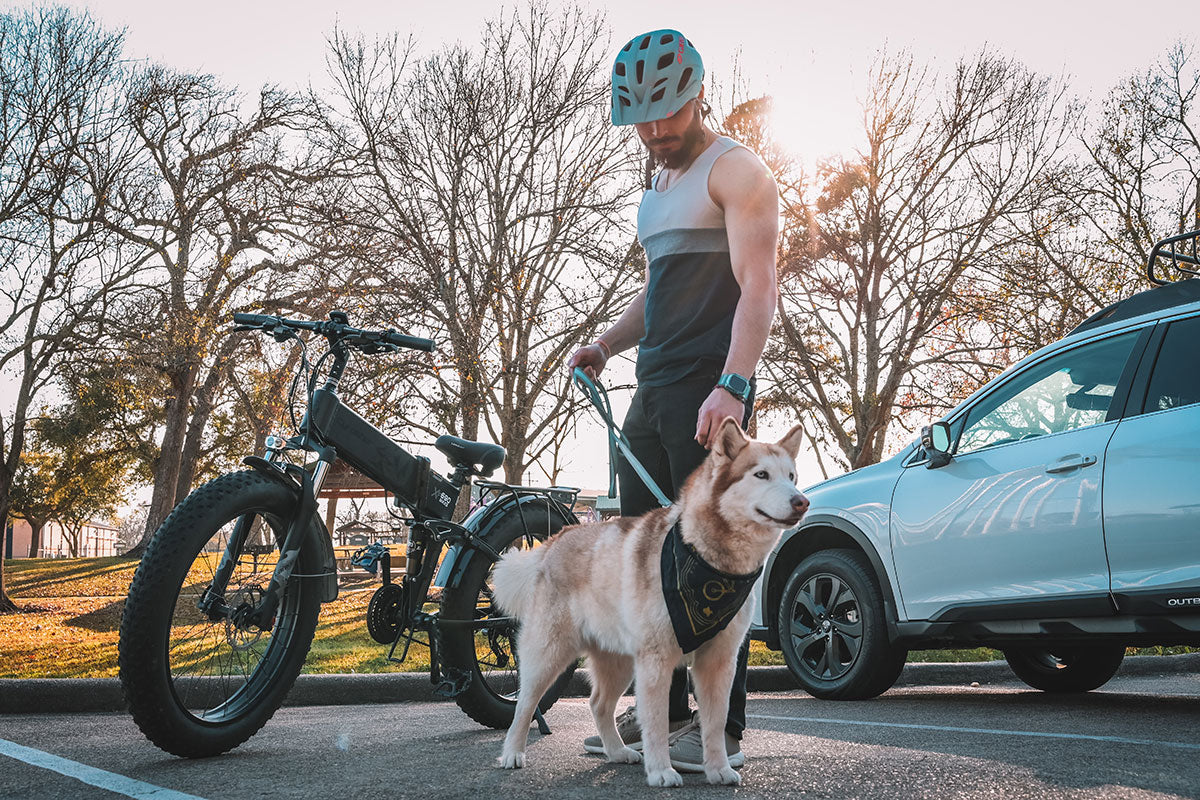 Why Car Manufacturers Look to Ebikes to Fight Climate Change?