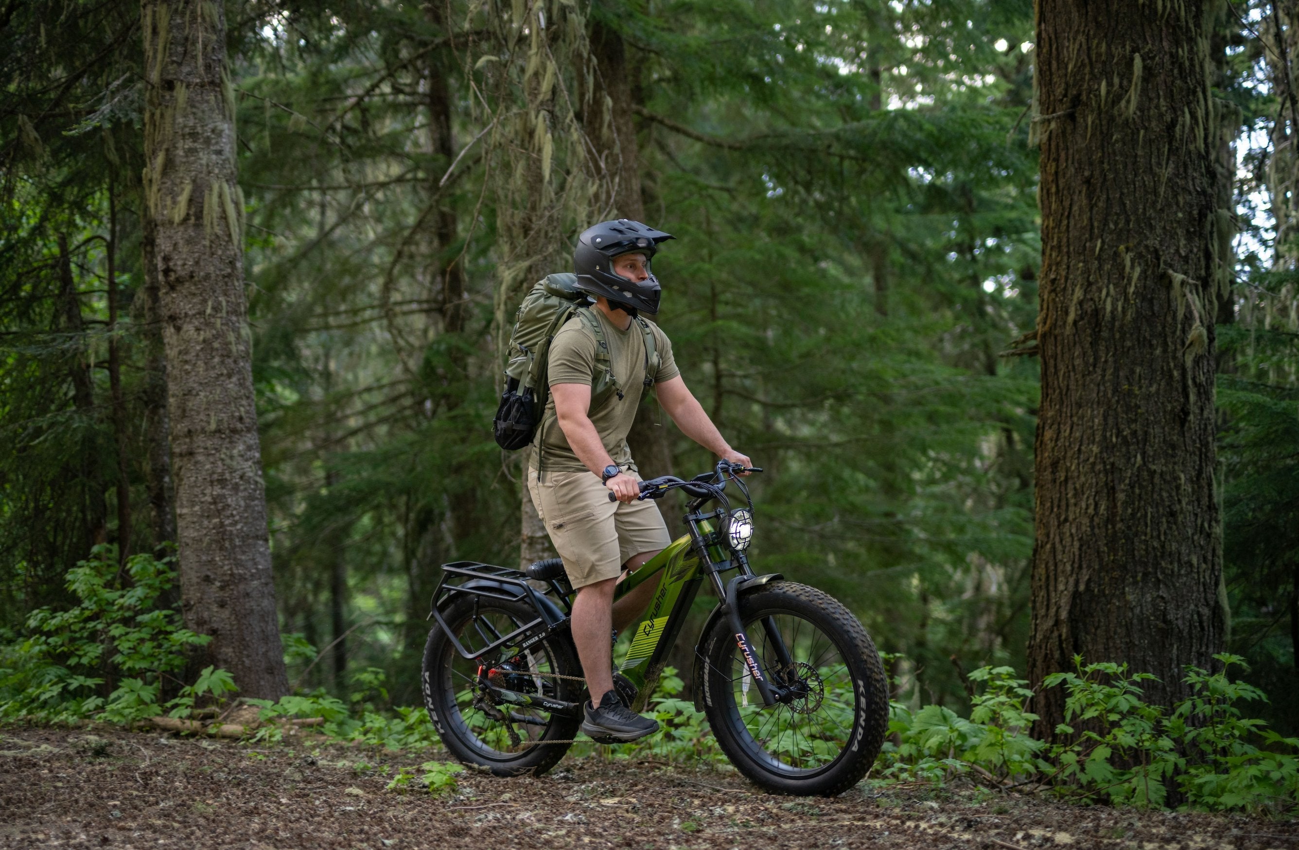 Electric Mountain Bikes