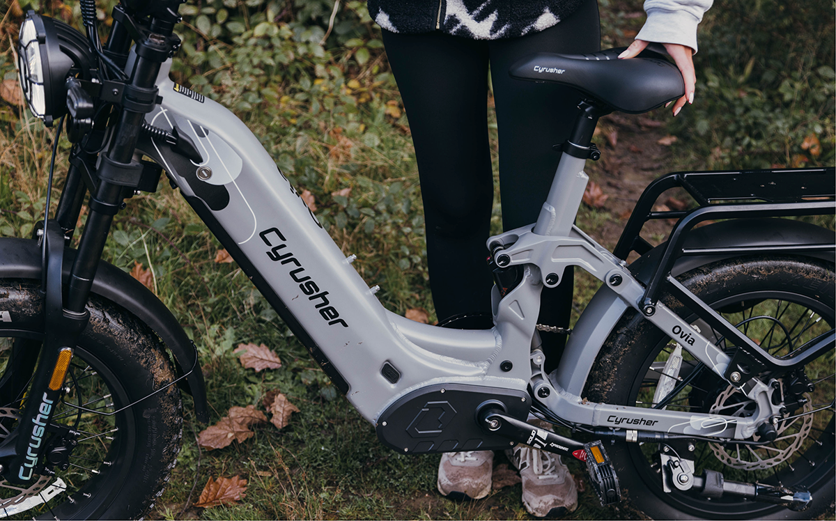 Rugged e-bike frame and suspension
