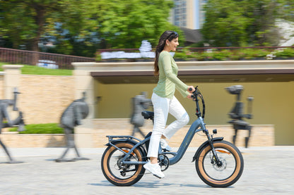 Luxe City E-Bike