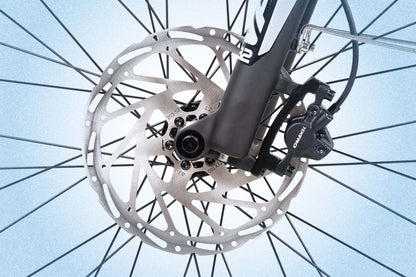 Path City E-Bike