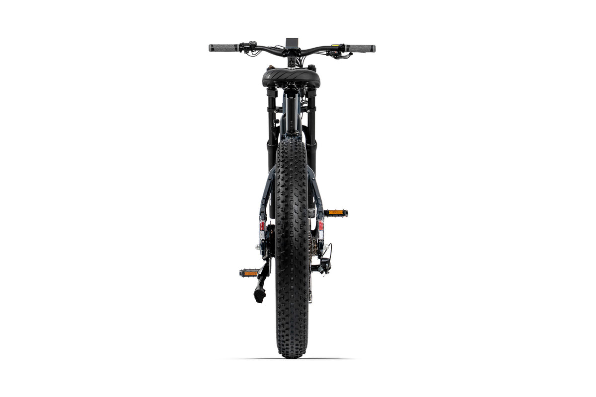 XF900 Mountain Motorcycle-Style Ebike