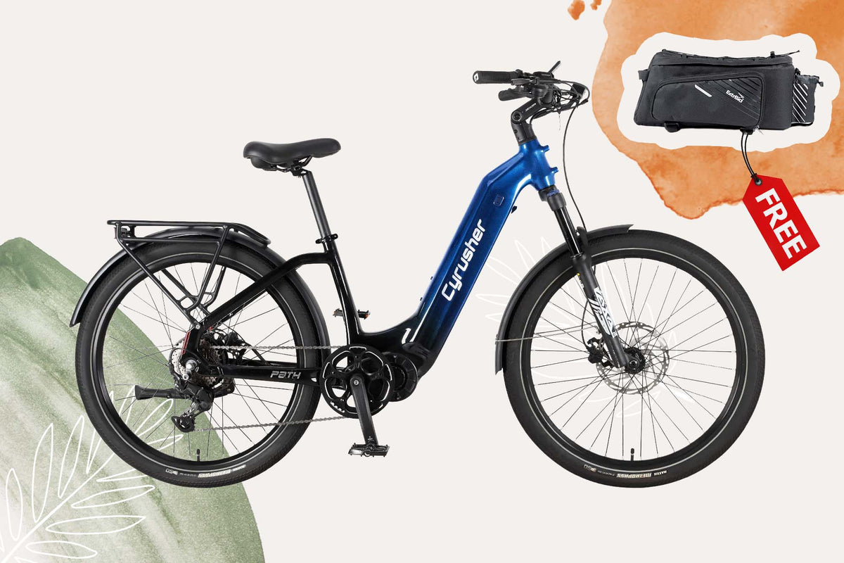 Path + Free SR100 Pannier Bag