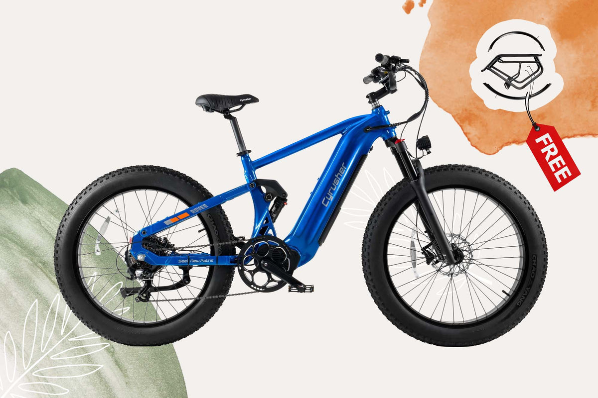 Rover Pro + Free Fenders & Rear Rack