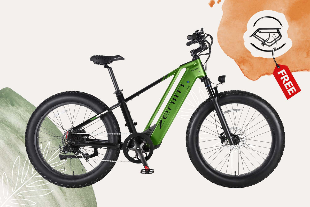Zenith + Free Fenders & Rear Rack
