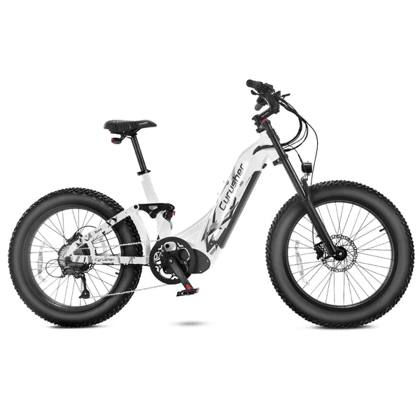 Firefox cycle spare pose parts