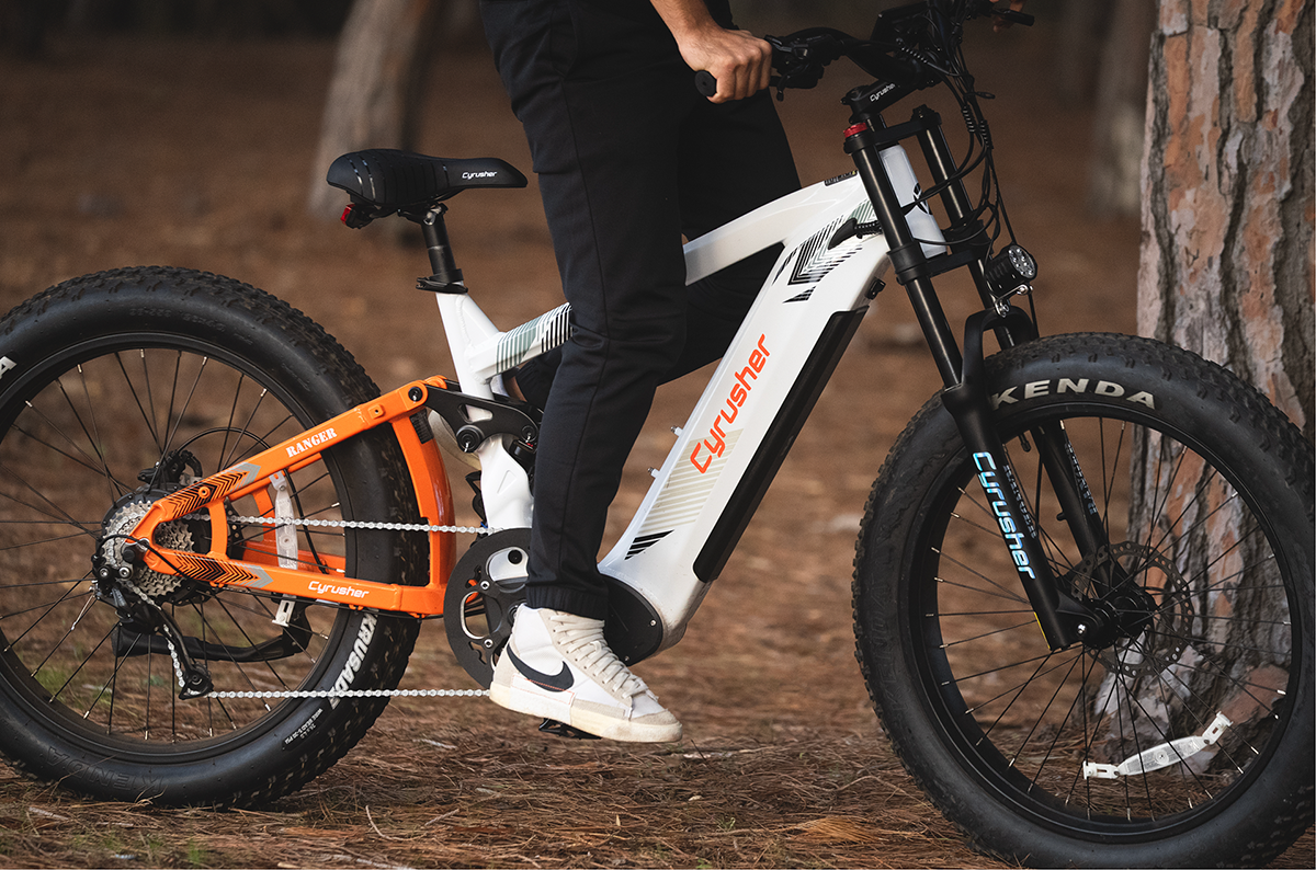 E-Bike with full suspension system