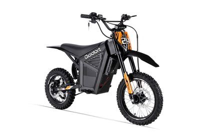 Lynx Electric Dirt Bike