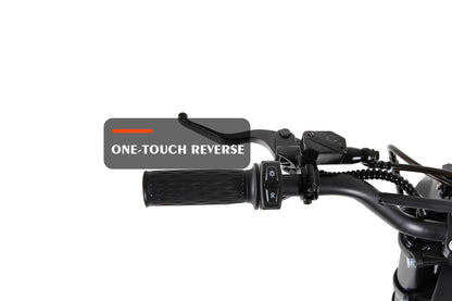 Lynx Electric Dirt Bike