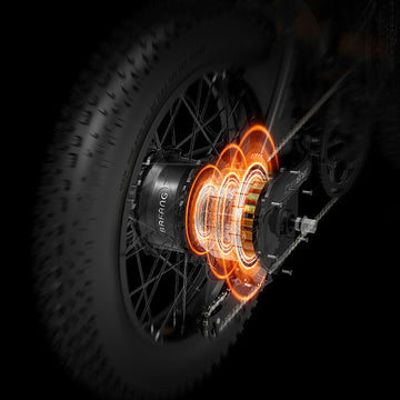 750W Bafang Motor