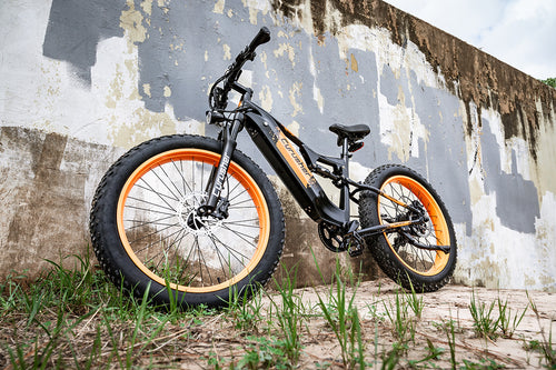 Photo bike cyrusher Montta ebike the adventurer 10