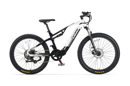 Flex Mountain E-Bike