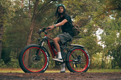 XF800 Mountain Full Suspension Ebike