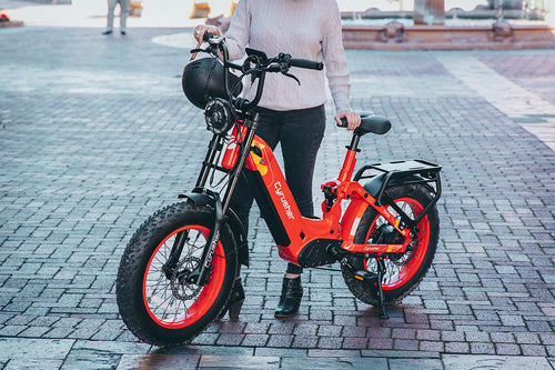 photo bike cyrusher ovia ebike merry christmas 04