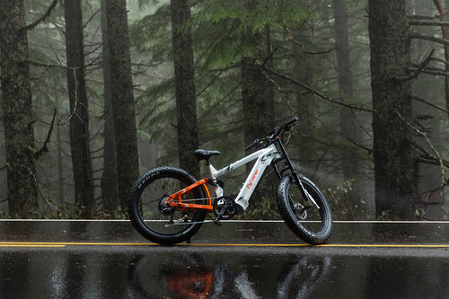 photo bike cyrusher ranger ebike rainy day 06