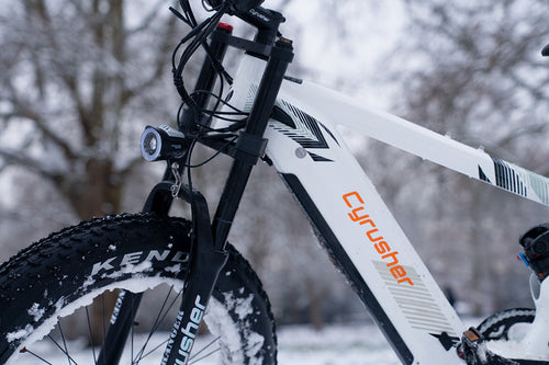 photo bike cyrusher ranger ebike the king of snow 03