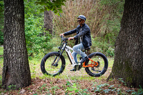 photo bike cyrusher ranger trax ebike forest trip 04_9bce111b c1ba 4fb8 bf13 49df0fac036d