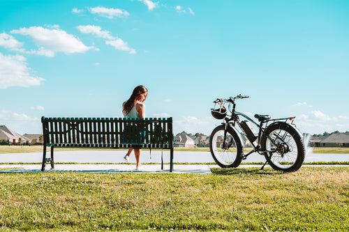 photo ebike cyrusher xf60 xf800 lucy adventure 01