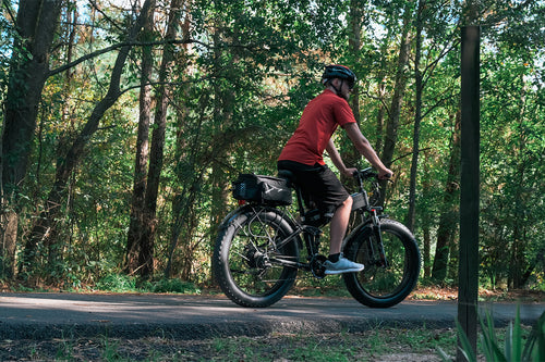 photo ebike cyrusher xf690max out forest 01