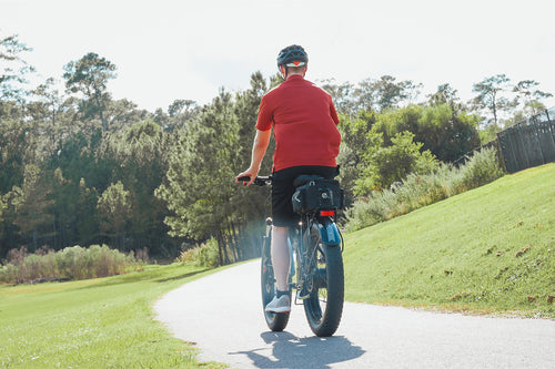 photo ebike cyrusher xf690max out forest 02