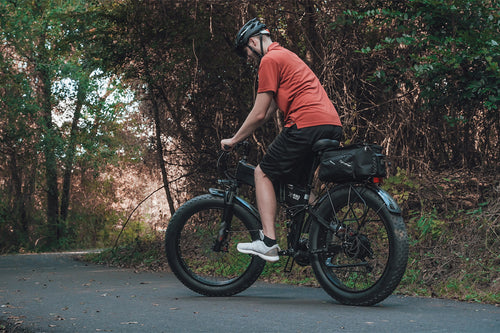 photo ebike cyrusher xf690max out forest 06
