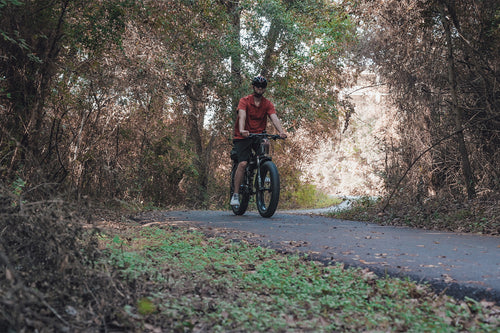 photo ebike cyrusher xf690max out forest 08