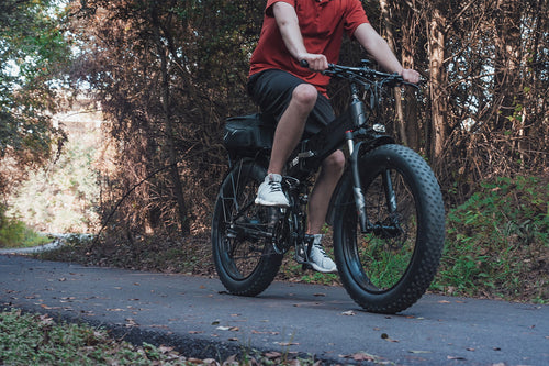 photo ebike cyrusher xf690max out forest 09