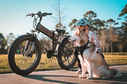 photo ebike cyrusher xf690maxs dog days 02