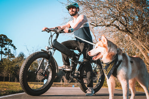 photo ebike cyrusher xf690maxs dog days 03