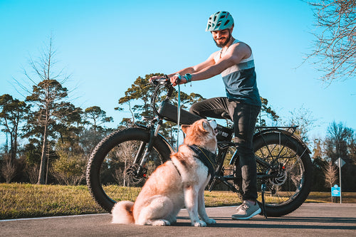 photo ebike cyrusher xf690maxs dog days 04