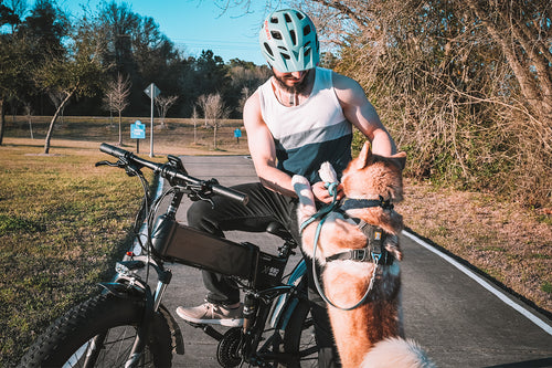 photo ebike cyrusher xf690maxs dog days 05