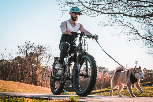 photo ebike cyrusher xf690maxs dog days 07