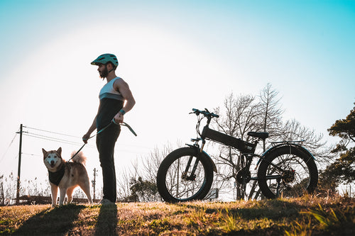 photo ebike cyrusher xf690maxs dog days 08