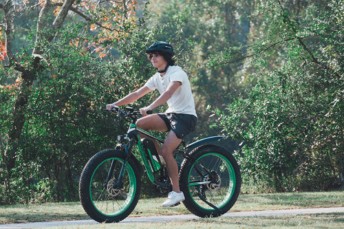 photo ebike cyrusher xf800 lake forest 03