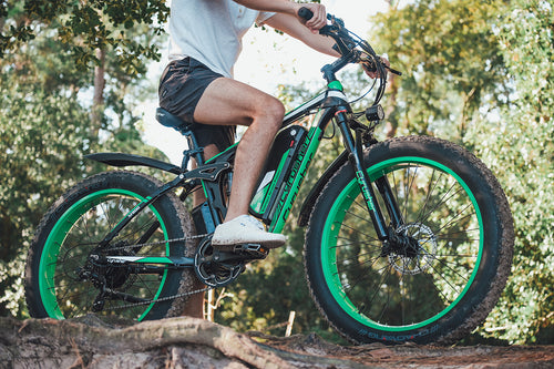 photo ebike cyrusher xf800 lake forest 07