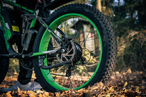 photo ebike cyrusher xf800 morning ride 05