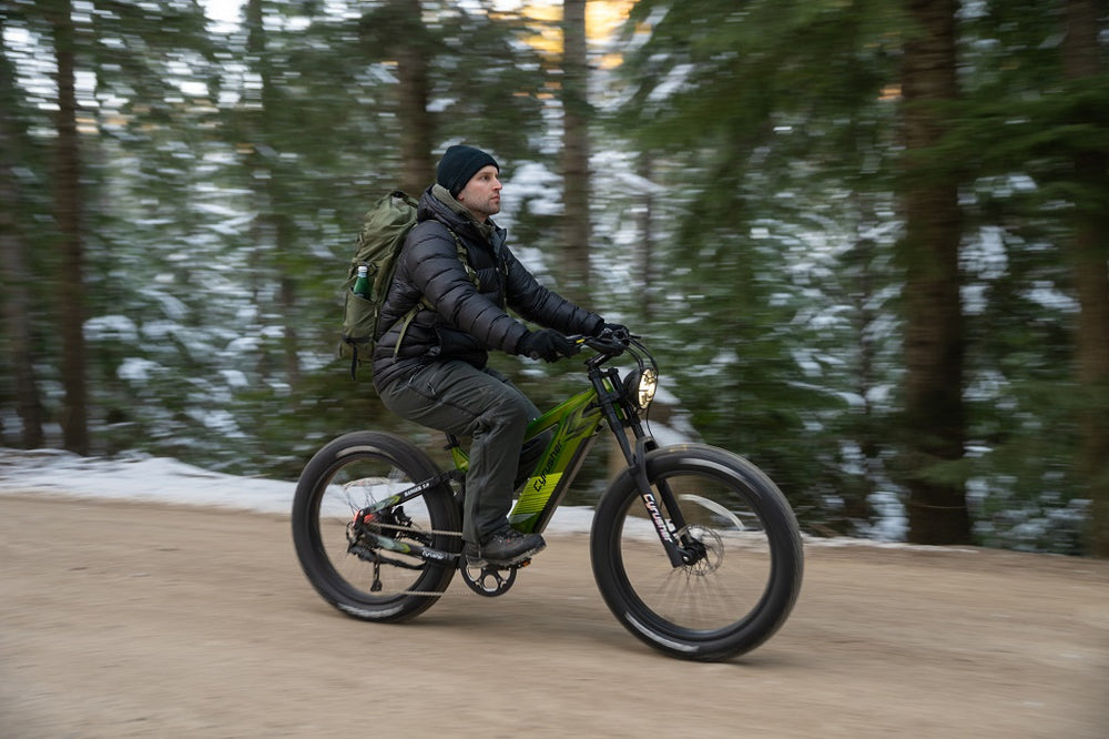 Cyrusher Ranger All-Terrain E-Bike