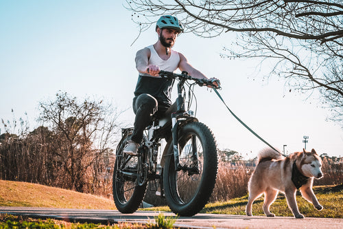 wallpaper bike photo ebike cyrusher xf690 riding dog